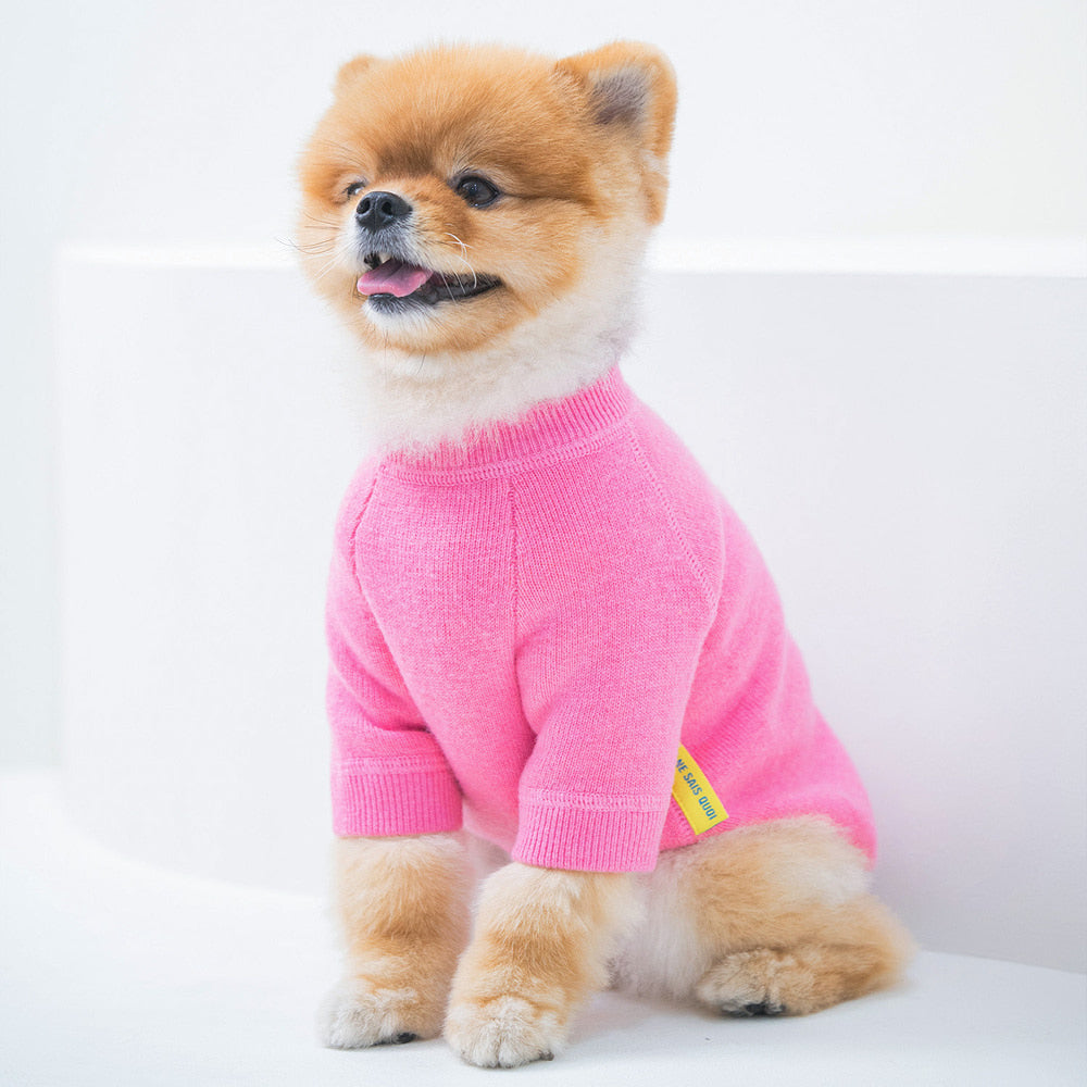 Premium Soft Knitted Dog Sweater for Small Dogs – Cozy Puppy Clothes, Cute Warm Pullover Pet Sweater for Chihuahua, Pomeranian & Maltese