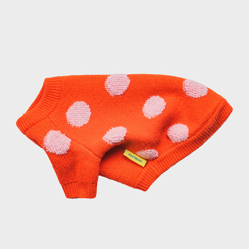 Polka Dot Jacquard Knit Dog Sweater – Cozy Pet Pullover for Small Dogs | Chihuahua, Pomeranian & Maltese