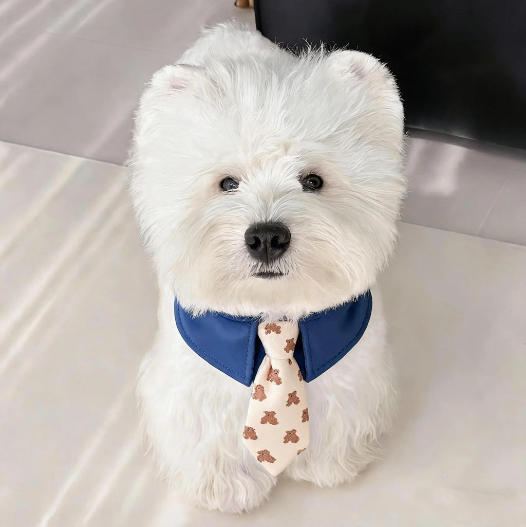Dog Shirt Collar & Tie Set for Small Dogs | Cute Pet Necktie Accessory for Chihuahua, Pomeranian & Maltese