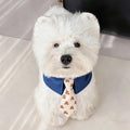 Dog Shirt Collar & Tie Set for Small Dogs | Cute Pet Necktie Accessory for Chihuahua, Pomeranian & Maltese