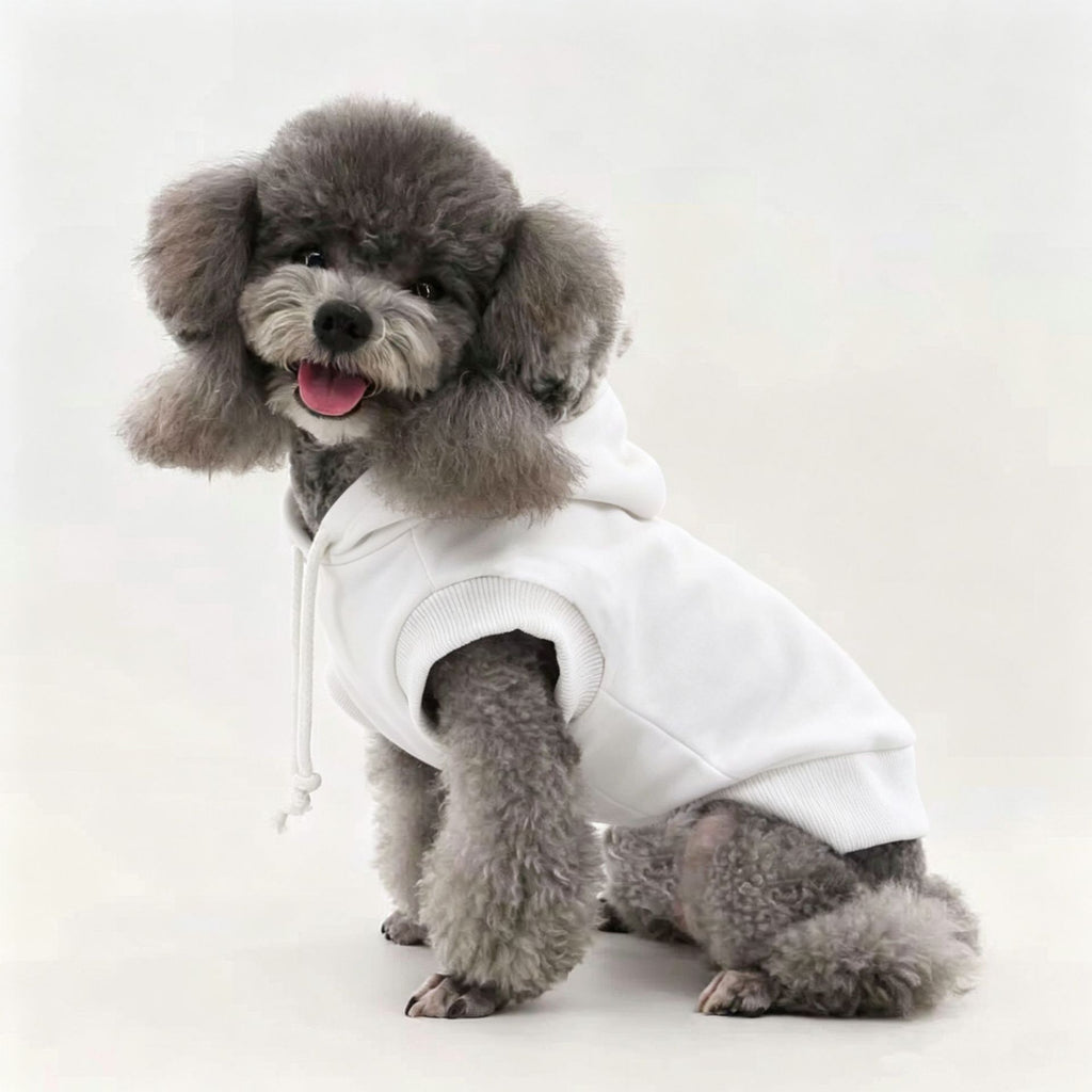 Dog Hoodie Sweatshirt – Soft Fleece Pet Pullover Hoodie for Small Dogs | Puppy Clothes for Chihuahua, Poodle, Pomeranian & Maltese