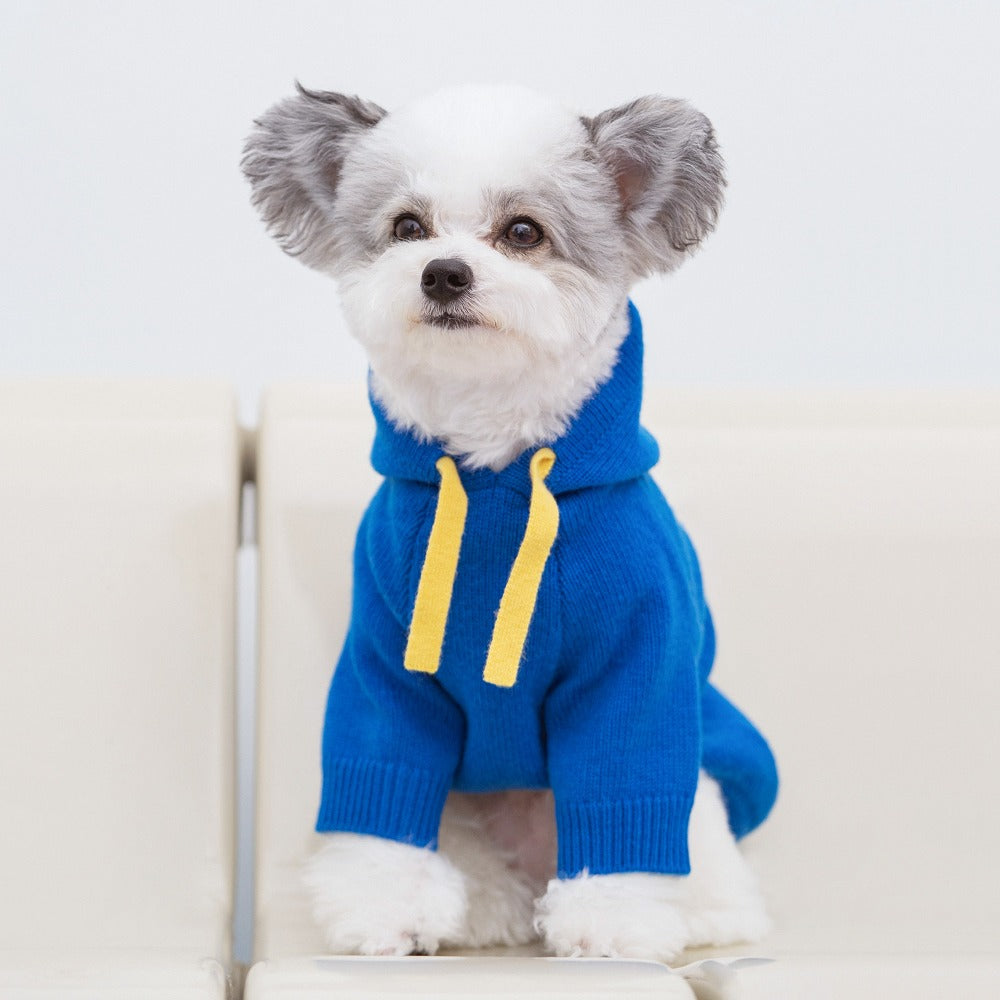 Blue Knitted Dog Hoodie Sweater – Cozy Winter Pet Clothes for Small Dogs & Puppies